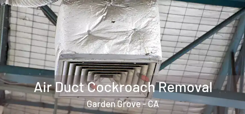 Air Duct Cockroach Removal Garden Grove - CA