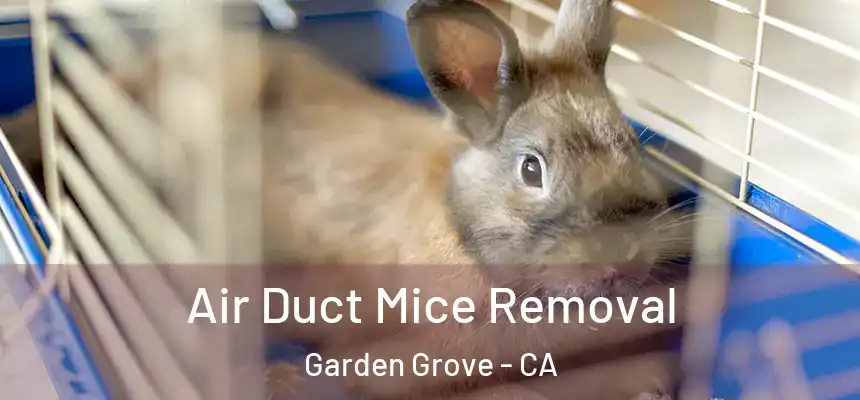 Air Duct Mice Removal Garden Grove - CA