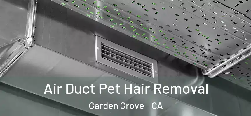 Air Duct Pet Hair Removal Garden Grove - CA
