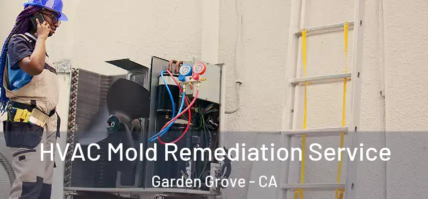 HVAC Mold Remediation Service Garden Grove - CA