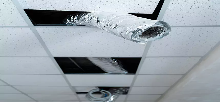 Our Air Duct Pet Hair Removal Services in Garden Grove, CA