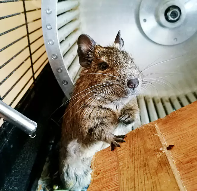 Why Homeowners & Businesses Trust Us Garden Grove, CA