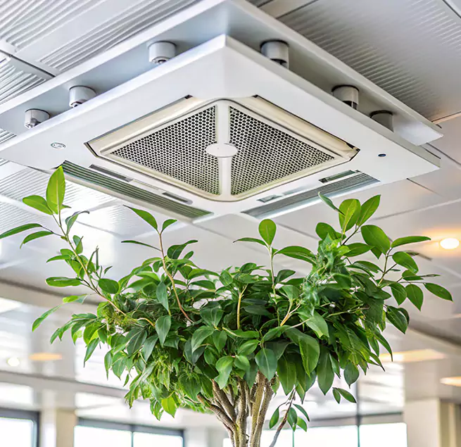 Why Homeowners & Businesses Trust Us in Garden Grove, CA?