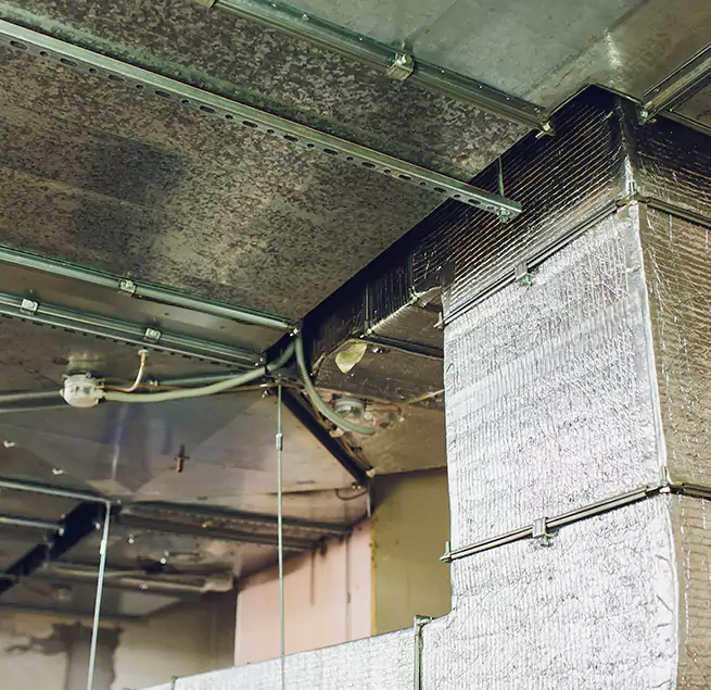 Why Homeowners & Businesses Trust Us in Garden Grove, CA?